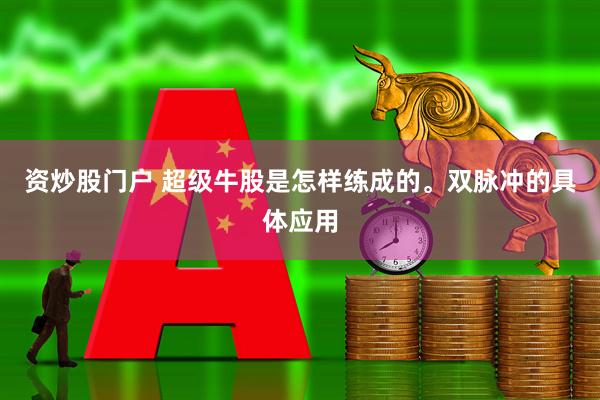 资炒股门户 超级牛股是怎样练成的。双脉冲的具体应用